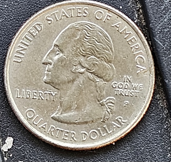 2007-P-Quarter-Missing-Details-On-Reverse