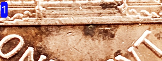 1972-D-Penny-Wording-On-Obverse-Rim