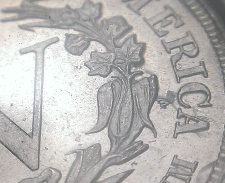 Keep-It-Or-Leave-It?-1883-Nickel