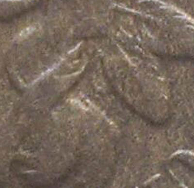 1864-L-Indian---Help-With-Variety
