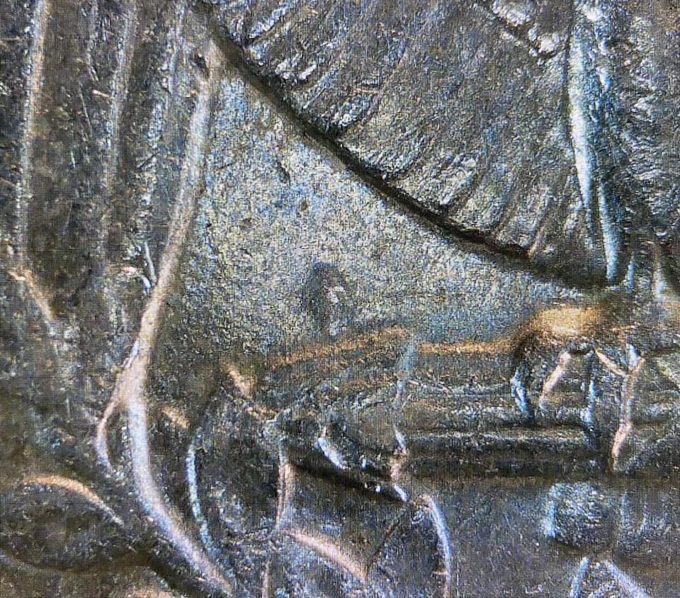 1990's-P-Washington-Quarters-With-Die-Clash-Or-Extra-Leaf-On-Reverse.