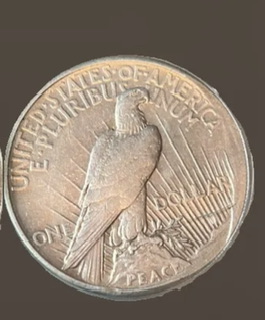 1921-Peace-Dollar-Rim-Error?