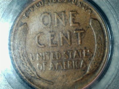 A-Lot-Of-Early-Lincolns