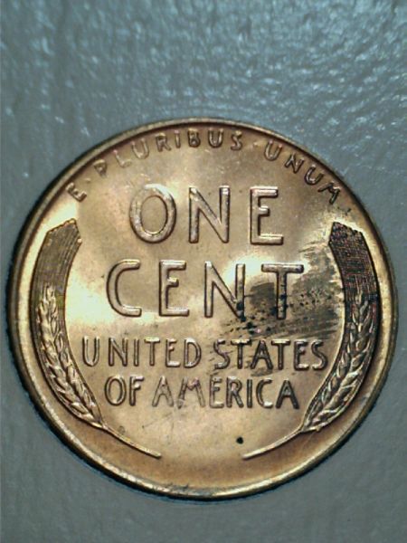 1955-P,-D,-S-For-Grading