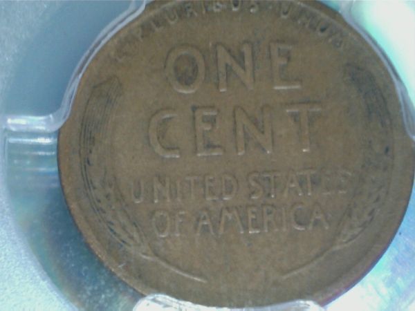 My-Newest-Addition,-You-Vs-PCGS