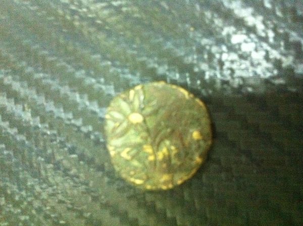 Flower-Coin