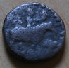 A-Horse-Coin
