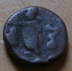 A-Horse-Coin