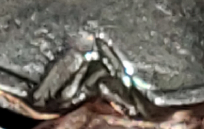 Are-These-Error-Or-Damaged-Coins