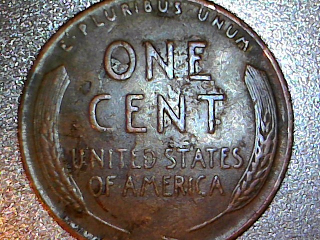 1951-Wheat.-Slug-Protusion-From-Chin.