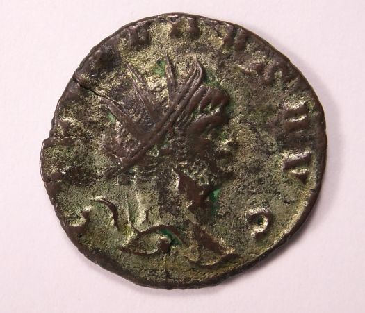 My-First-Gallienus-Zoo-Coins!