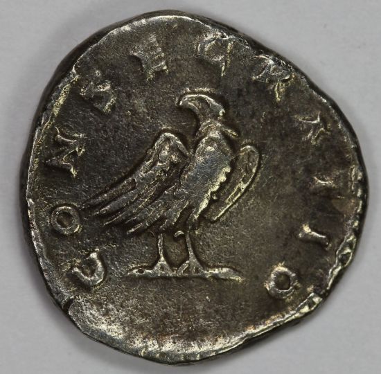 Antonius-Pius-/-Concencratio