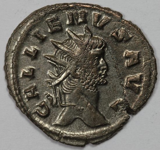 Gallienus-/-Abundance