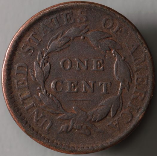 The-65-Days-Of-Half-And-Large-Cents!