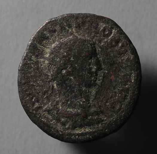 Silvered-Probus