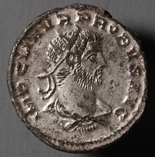 Silvered-Probus