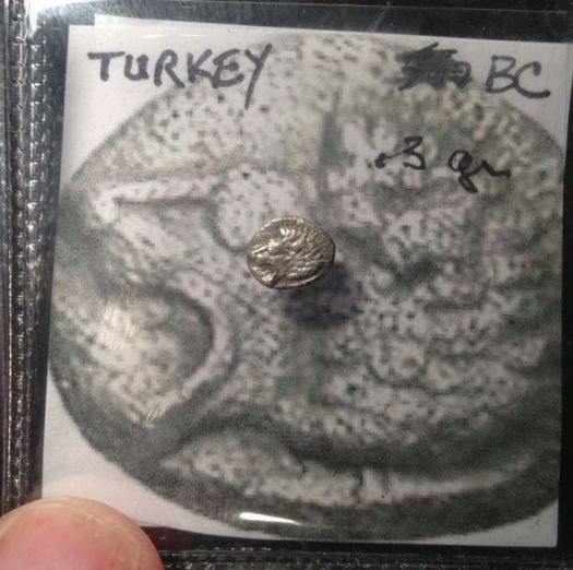 Help-ID-Tiny-Lion