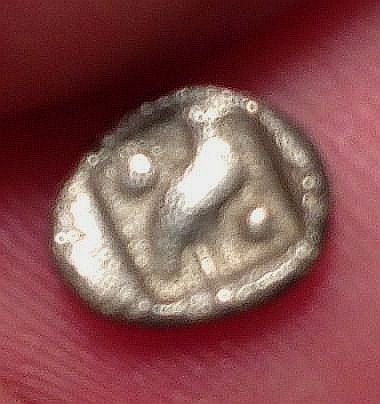 Help-ID-Tiny-Lion