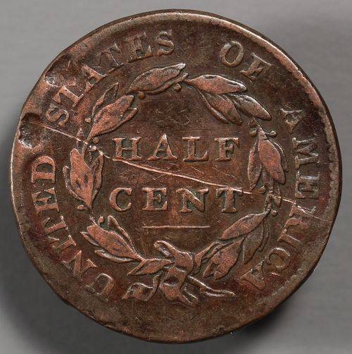 The-100-Days-Of-19th-Century-US-Coins-Plus-64-Days-Of-20th
