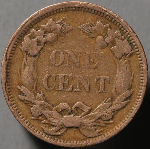 The-100-Days-Of-19th-Century-US-Coins-Plus-64-Days-Of-20th