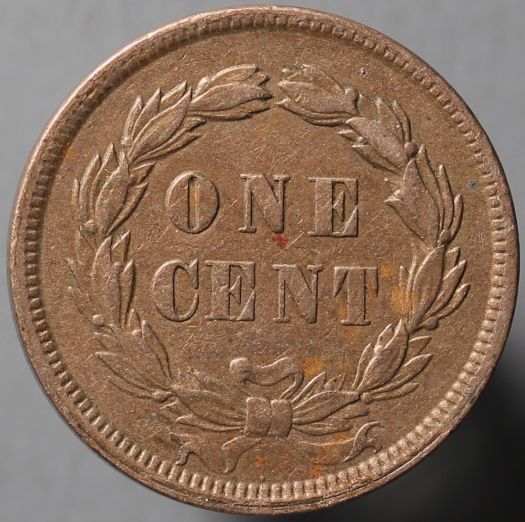 The-100-Days-Of-19th-Century-US-Coins-Plus-64-Days-Of-20th