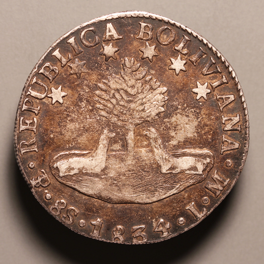 1834-Bolivia-8-Soles,-Confirm-Authenticity-Please