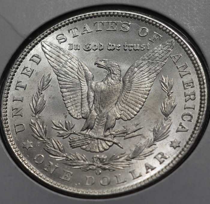 My-First-Morgan-Dollar