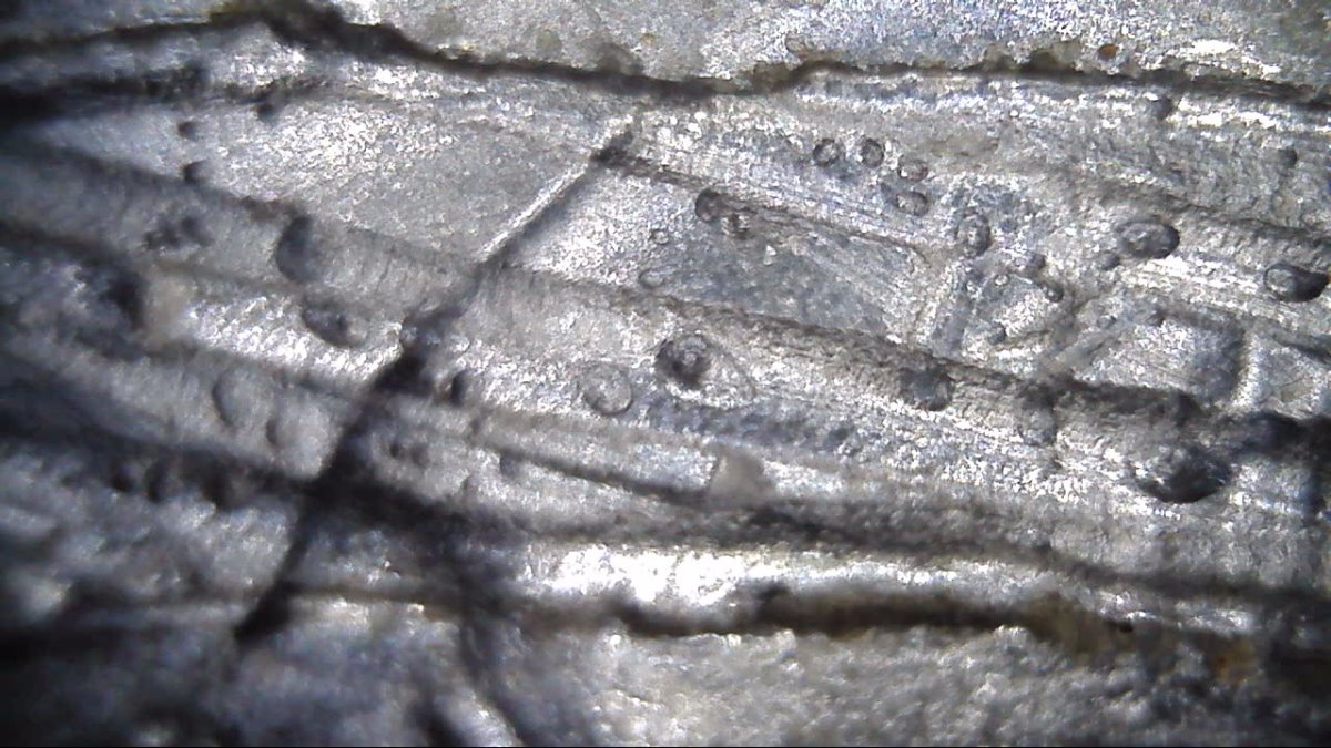 2019-D-Lowell-Quarter-Has-Anyone-Seen-This-Before?