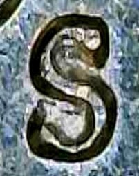 1970-S-Penny-Possible-RPM-And-DDO