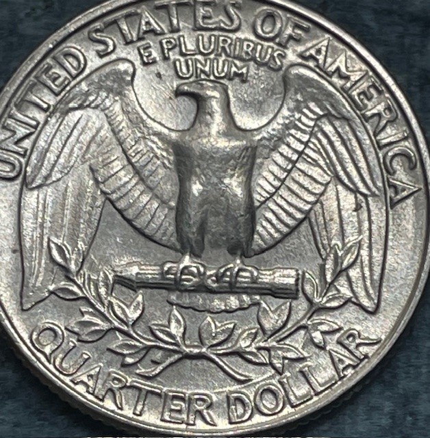 1982-P-Washington-Quarter-Possible-Errors-DDO,-DDR,-And-An-Extra-Vine-Under-Branch