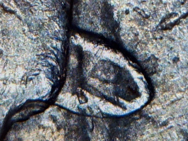 2004-D-Wisconsin-Quarter-Doubling-Errors?-An-R-With-Possible-A-On-It?