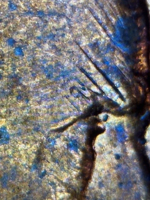 1991-Penny--What-Can-Cause-This?