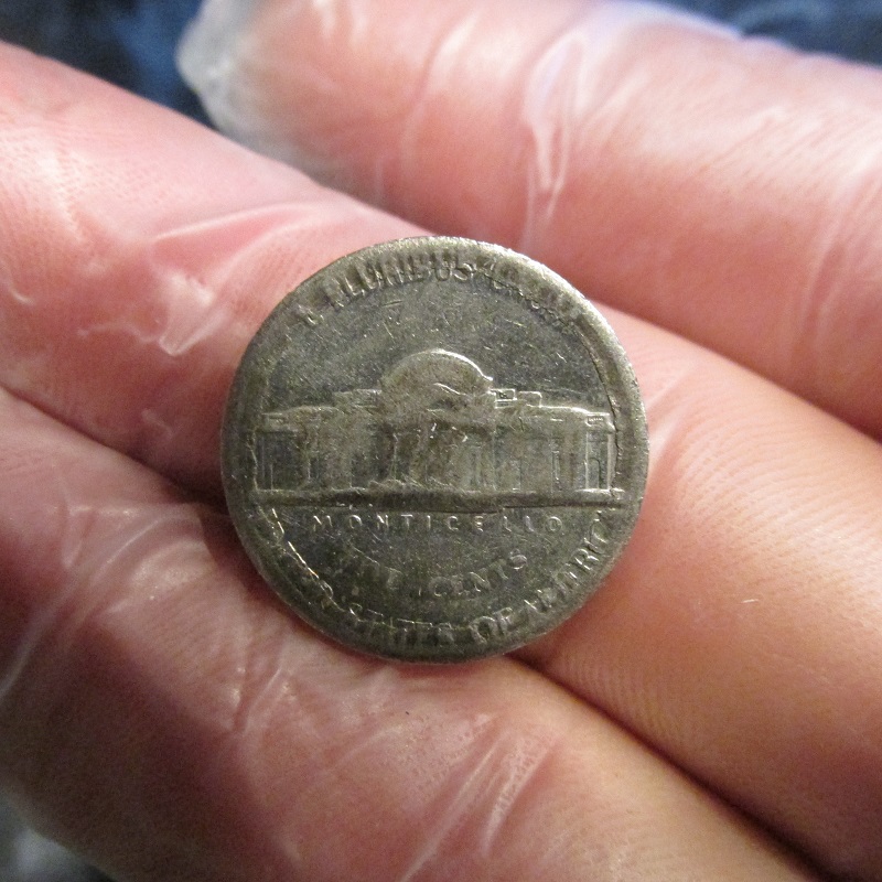 New-Member-Looking-For-Information-On-Jefferson-Nickel