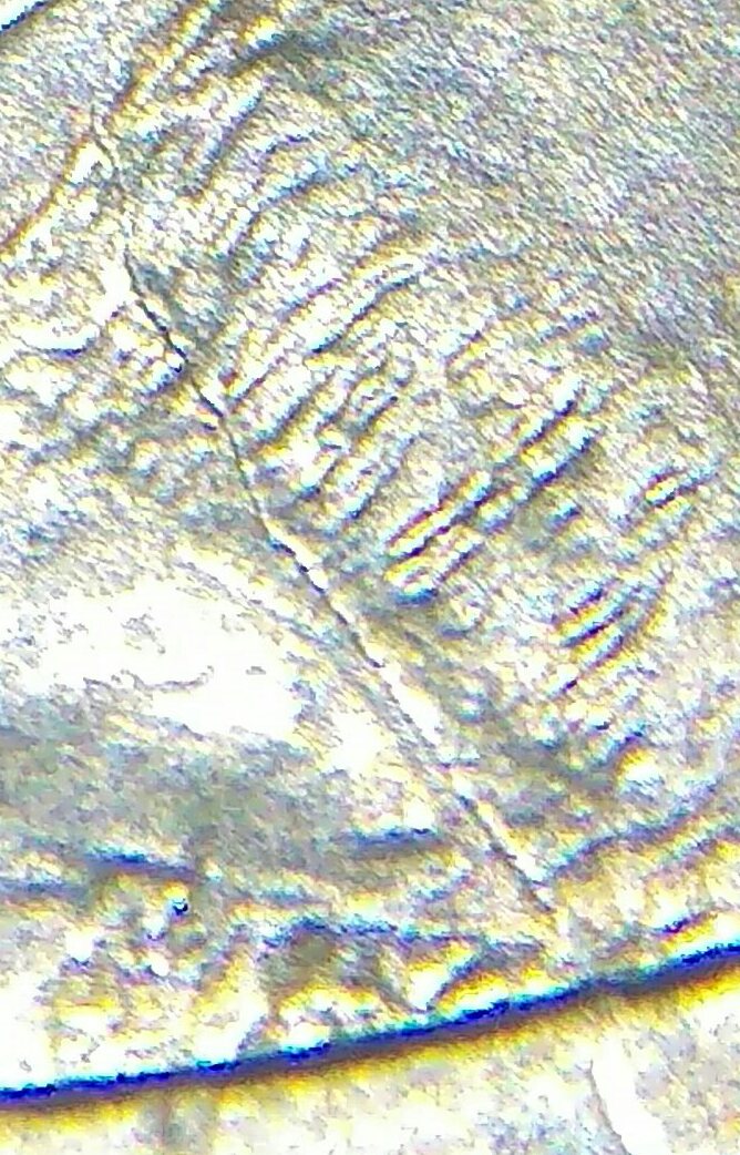 2000-P-Sacagawea-Die-Crack