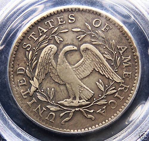 Flowing-Hair-Half-Dollar-Going-Bald?