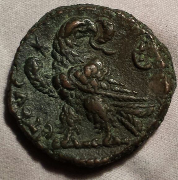 Identification-Help