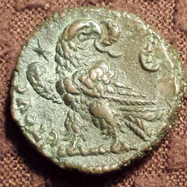 Identification-Help
