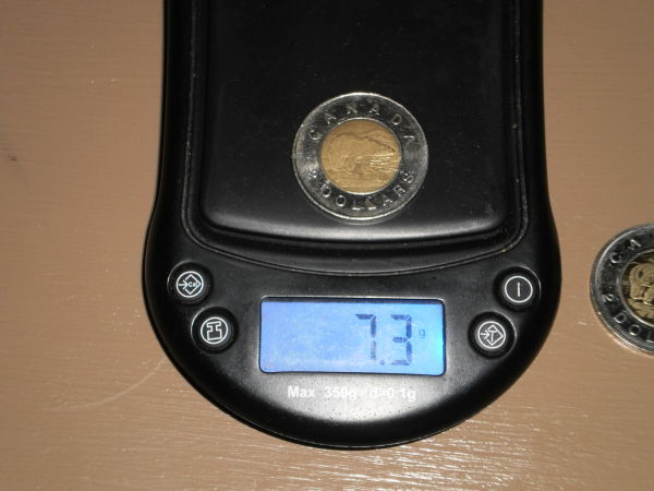 Wrong-Planchet-Toonie-Or-?