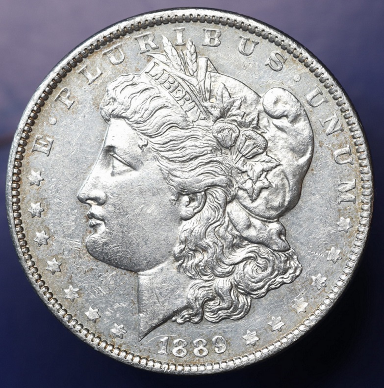 1889-Morgan-Dollar-Grade