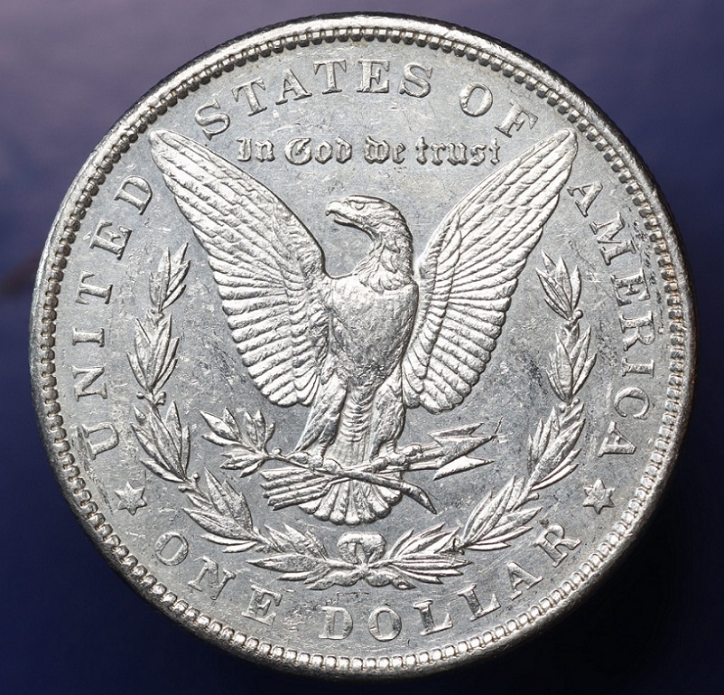 1889-Morgan-Dollar-Grade