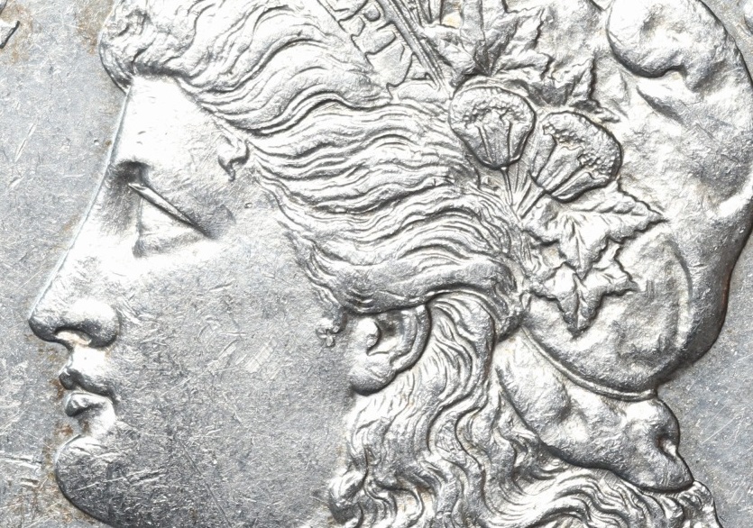 1889-Morgan-Dollar-Grade