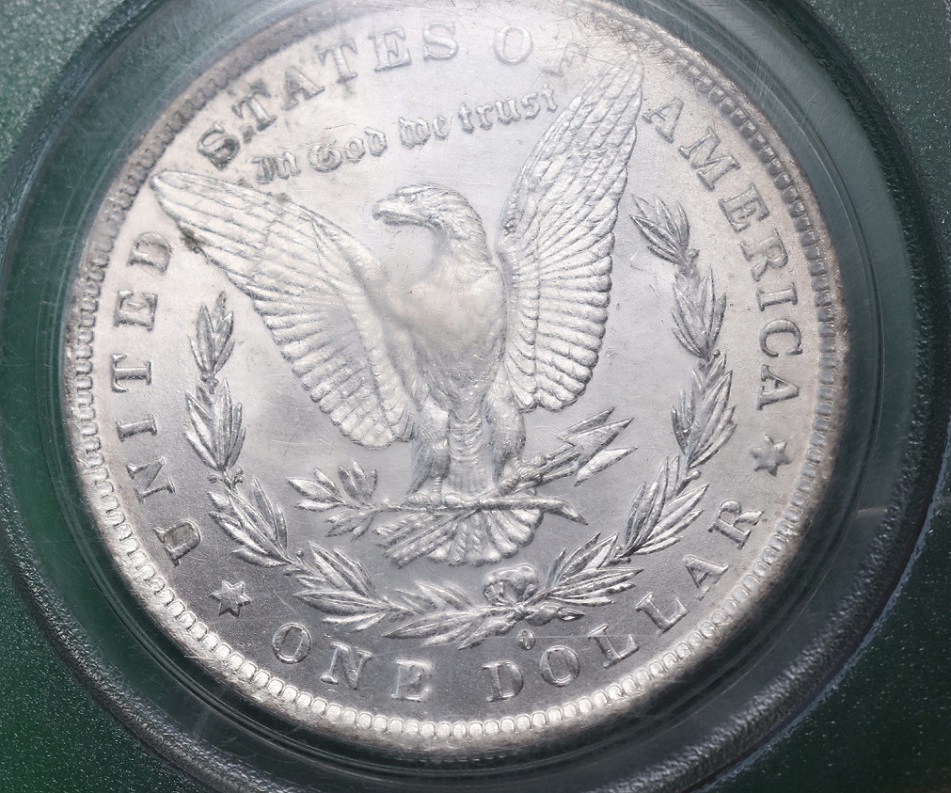 1884-O-Morgan---You-Vs-PCGS