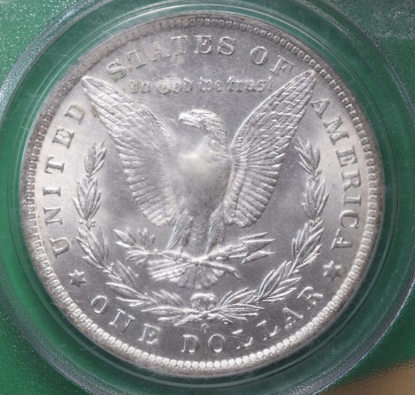 1884-O-Morgan---You-Vs-PCGS