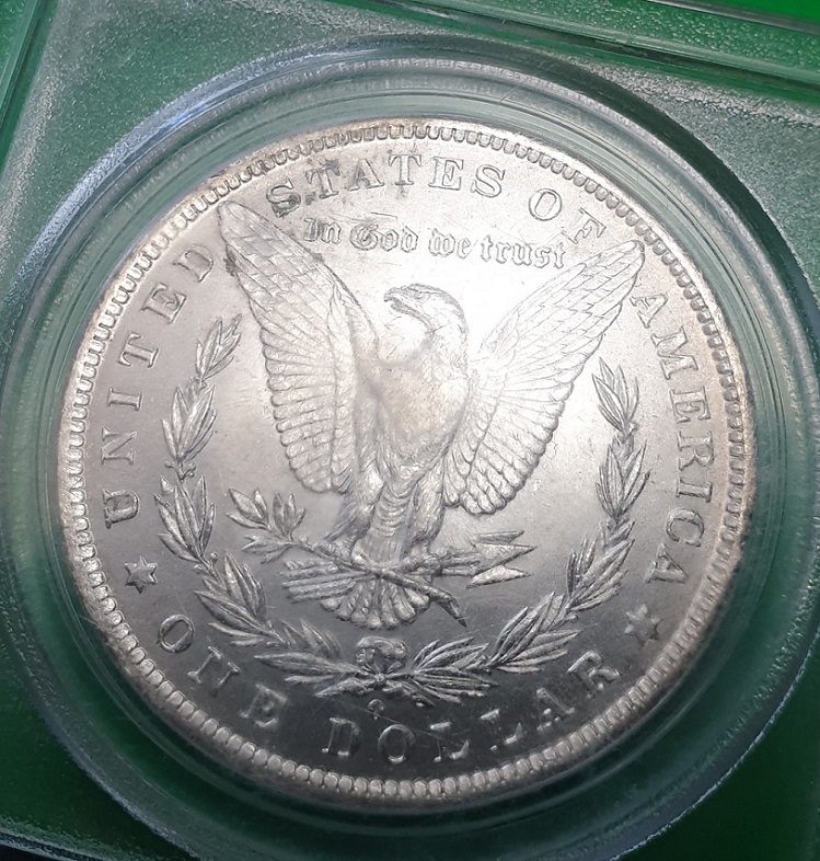 1884-O-Morgan---You-Vs-PCGS