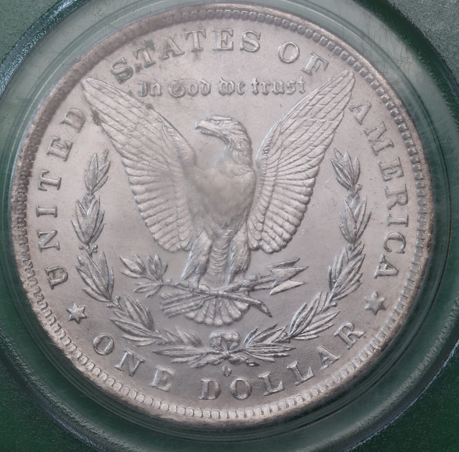 1884-O-Morgan---You-Vs-PCGS