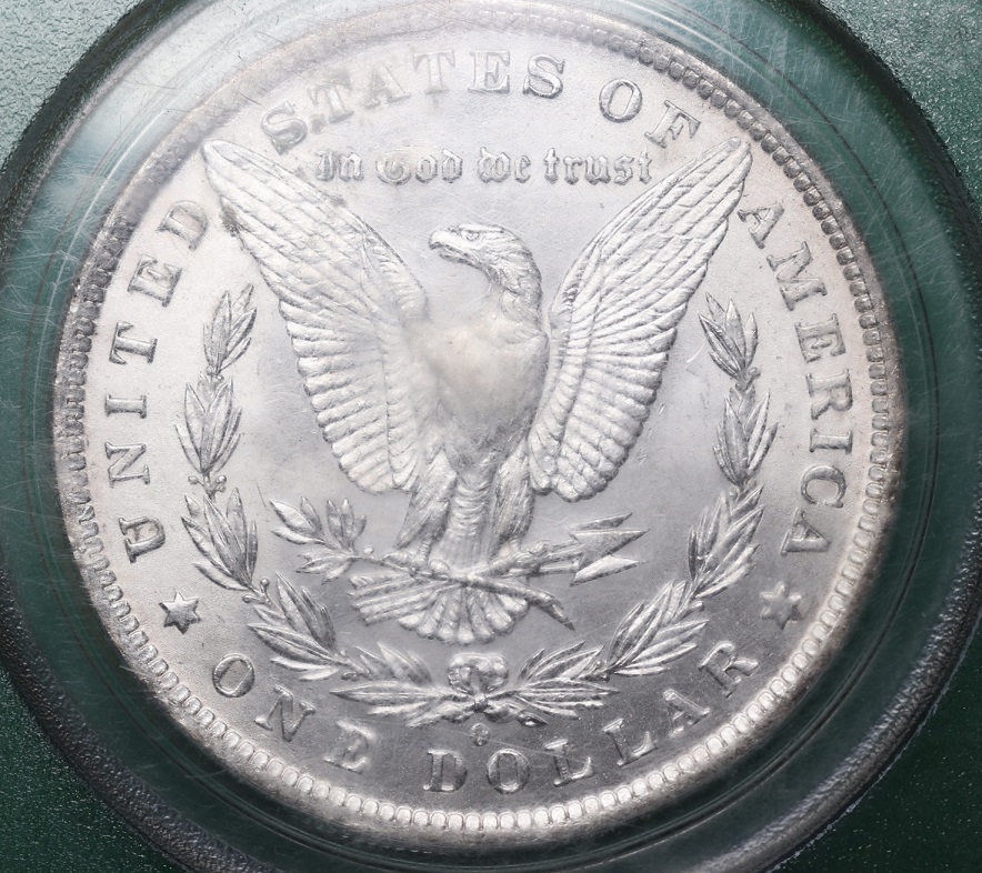 1884-O-Morgan---You-Vs-PCGS