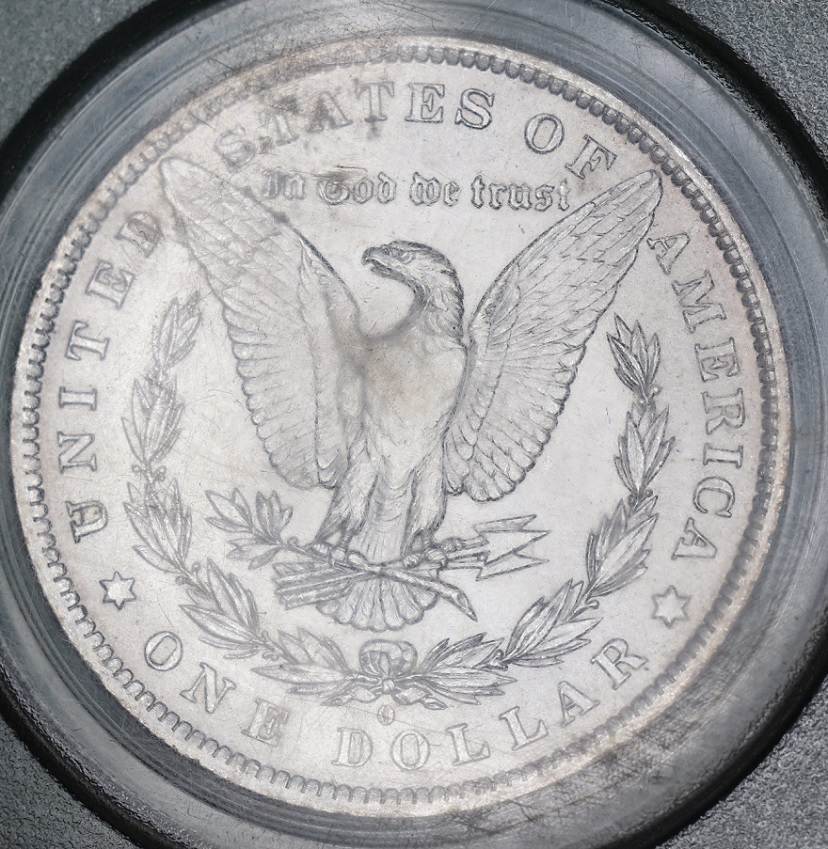 1884-O-Morgan---You-Vs-PCGS