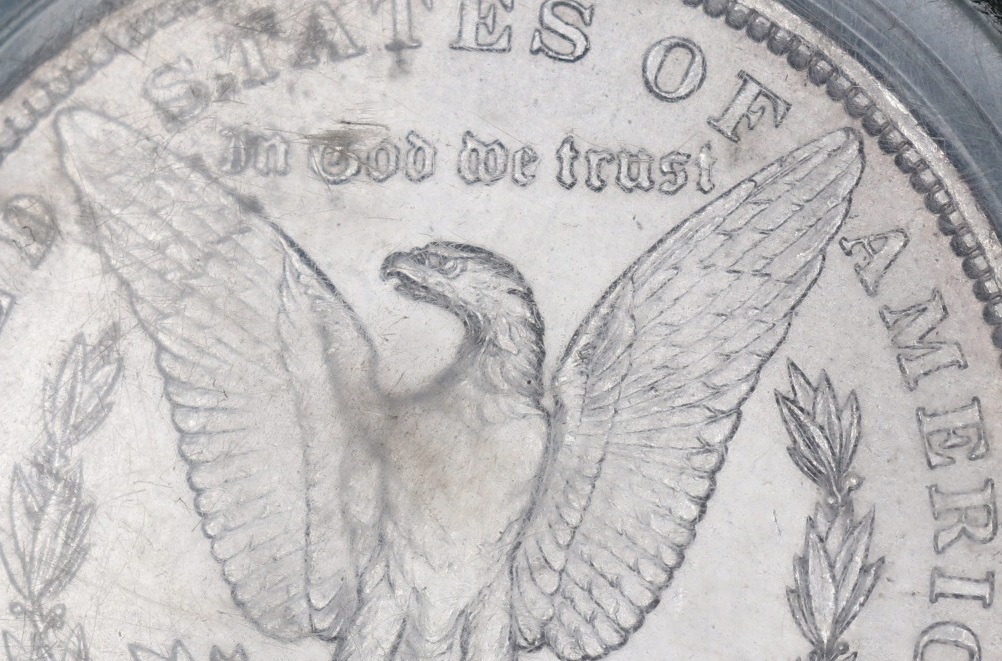 1884-O-Morgan---You-Vs-PCGS