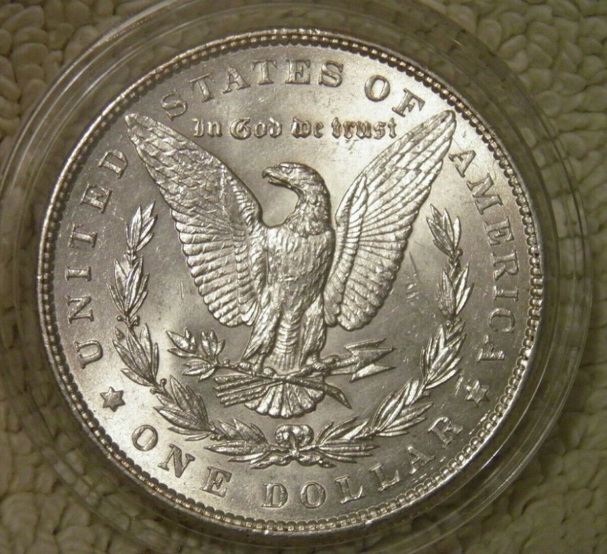 Your-Grading-Verdict-Of-This-1886-Morgan-Dollar