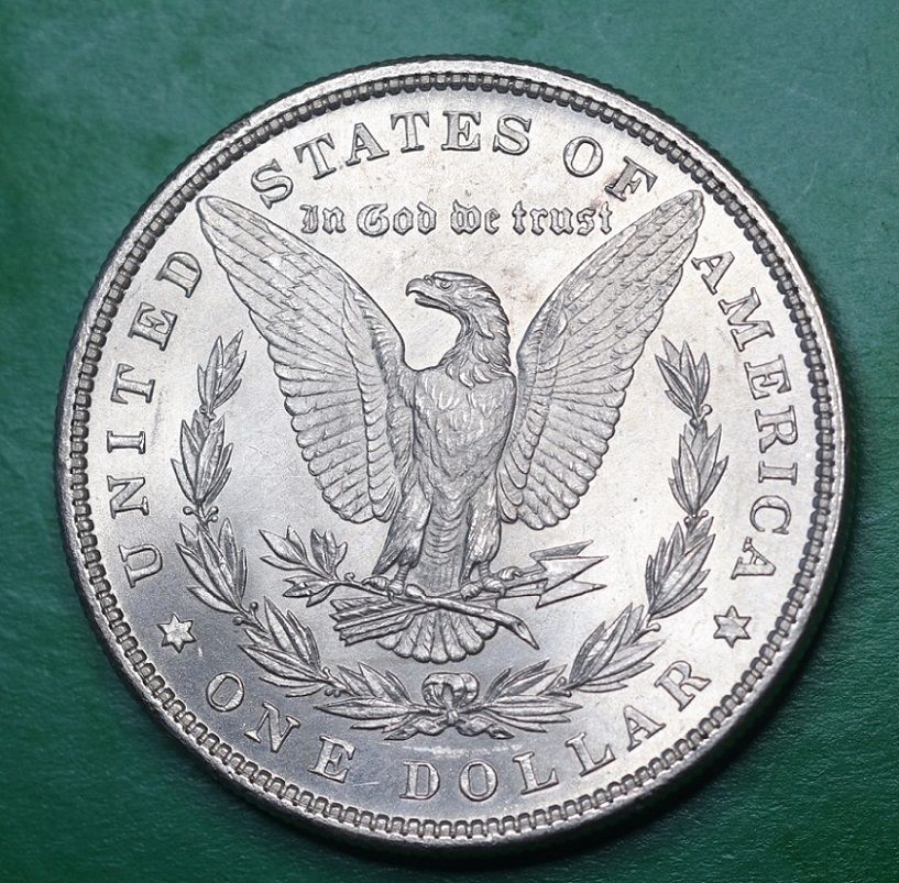 1879-P-Morgan-Dollar-Grade-Opinions
